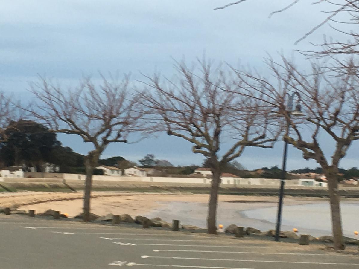 La Petite Maison Sur L'Ile De Re La Flotte Exteriör bild